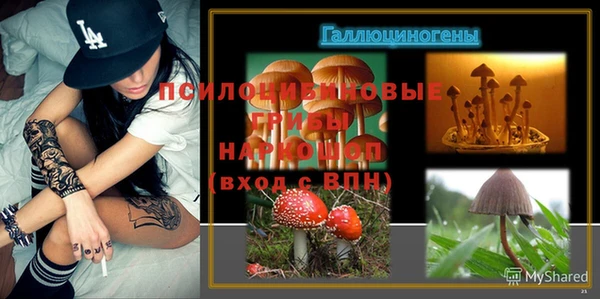 марки lsd Алексеевка