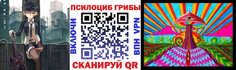 где продают наркотики  Дюртюли  Псилоцибиновые грибы Cubensis 